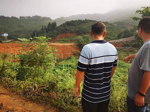 没本钱找个合伙人养牛（林海：返乡创业，如何找合伙人？）