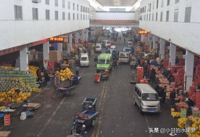新手做批发水果生意怎么入手（去水果批发市场买水果应该注意哪些事项）