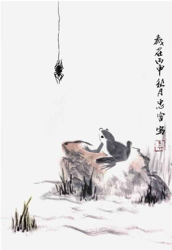 青蛙怎么画漂亮又简单（青蛙基本画法）