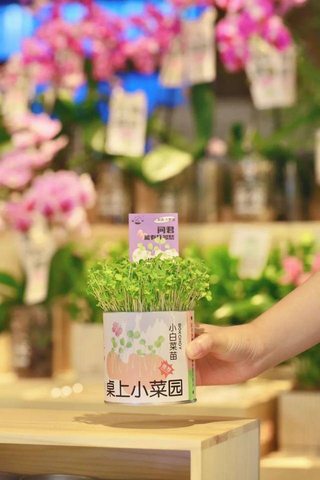 实体店做什么项目好（奈雪生活全国首店集中开业）
