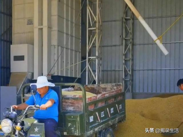 抚州汪云辉在上海做什么生意（汪聪慧，一亩地，他的生活故事）