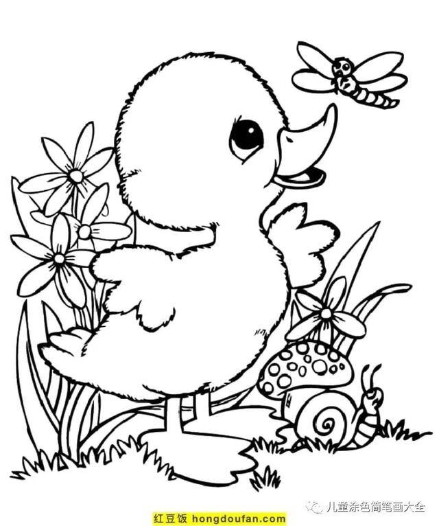 关于夏天的画简单好看（《我的世界》电影海报鸭子着色页）