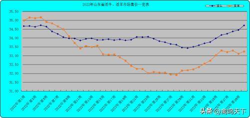 合同鸭5000只一批能赚多少钱（2017年10月7日养猪行情分析）
