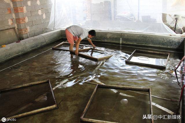 室内泥鳅养殖（浅谈泥鳅无土养殖技术）
