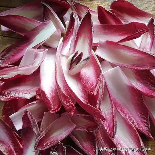 秋季种植什么经济农作物赚钱（秋冬季种植什么蔬菜比较好？）