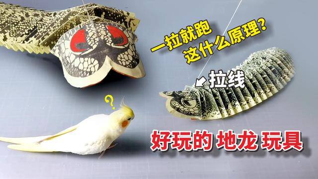 手工小匠（地龙玩具，你见过吗？）
