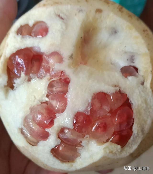 乡下做什么生意最好做（小伙子开着三轮车进村卖菜，两年时间买车买房）