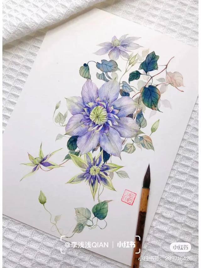 花朵怎么画最漂亮（中国风水彩花卉插画｜李浅浅qian）