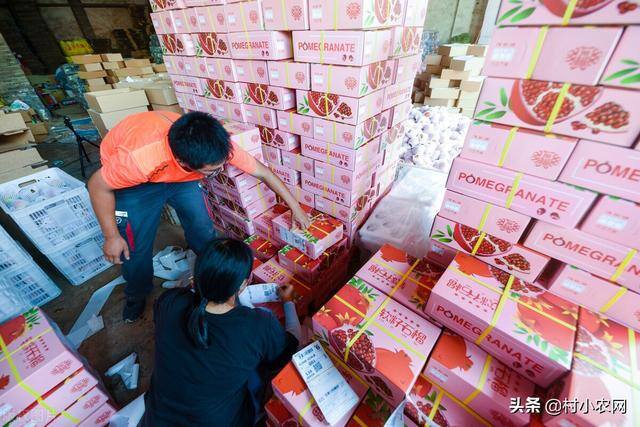 回农村发展什么项目好（如今返乡创业到底干啥赚钱？5个农村致富项目，赶紧看看哪个适合你）