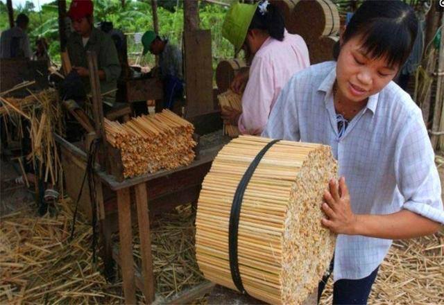 适合办厂的小项目（农村办个小工厂，有哪些项目投资少、见效快、发展前景比较好？）