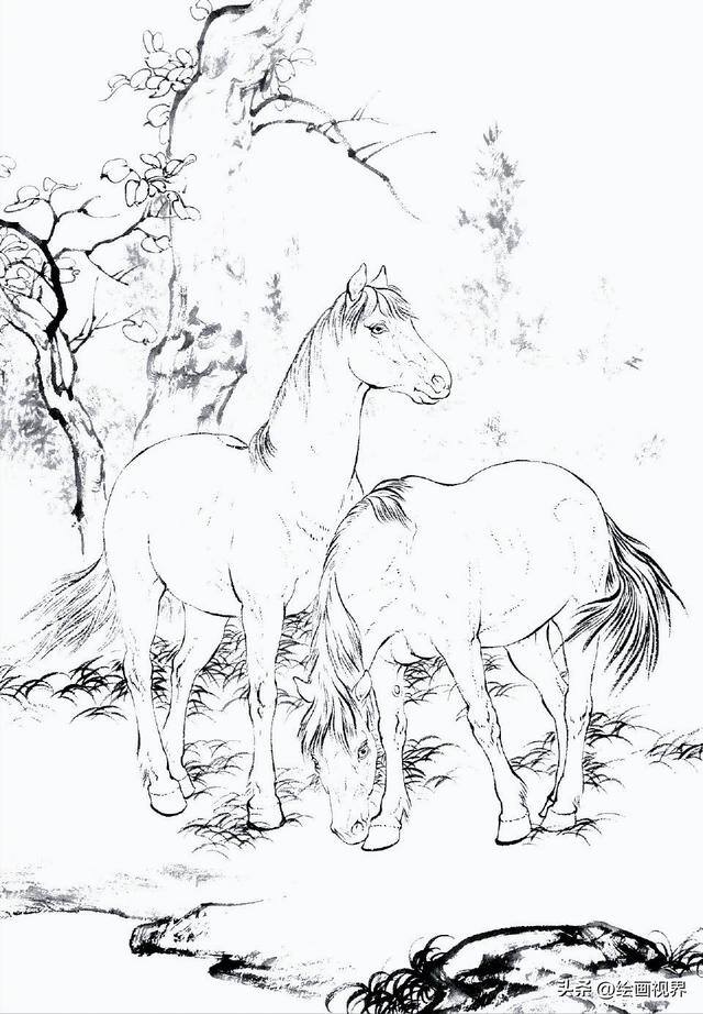 怎么画画既好看又简单（初学者怎么画马的白描线稿）