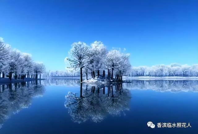 三年级绘画作品（思维导图画作文——这儿真美（二十五））