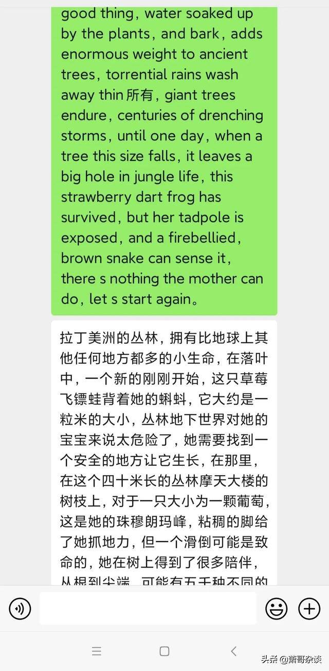 抖音发布视频如何赚收益（西瓜中视频计划怎么做）