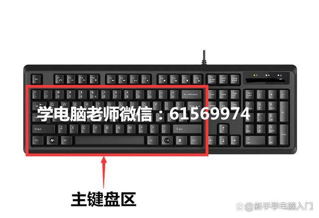 电脑上怎么打字（电脑打字基本键位与手指的关系）