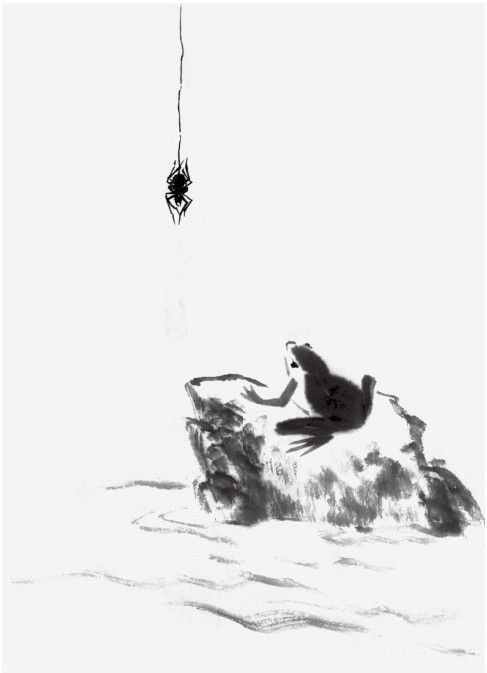 青蛙怎么画漂亮又简单（青蛙基本画法）