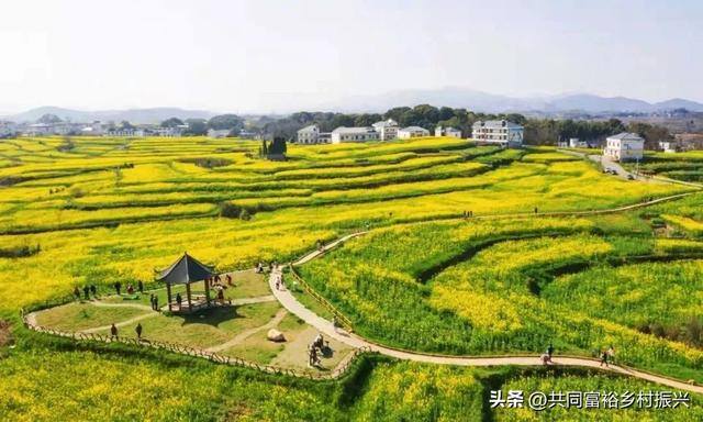 政府扶持的创业项目（乡村振兴，关键看这些）