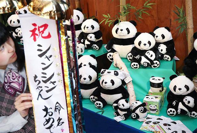 去哪个国家打工最挣钱比较安全（中国租借大熊猫的方式）