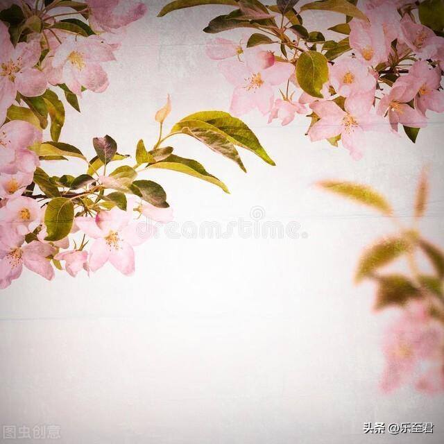 无聊怎么办（感觉无聊怎么办？）