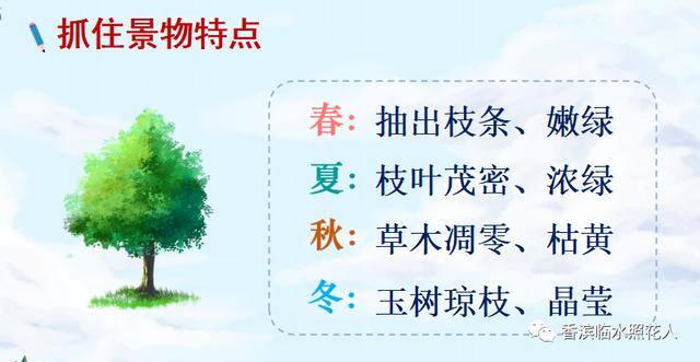 三年级绘画作品（思维导图画作文——这儿真美（二十五））