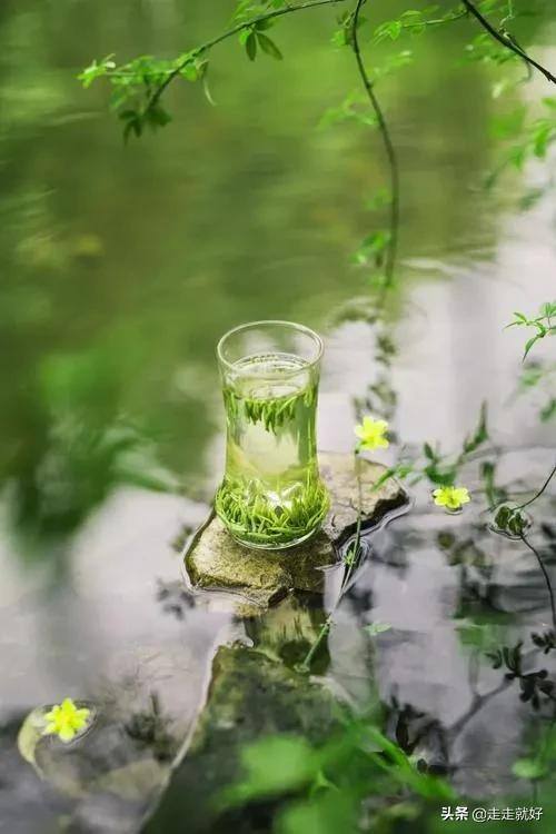 一杯水就可以发财的方法（水生财有道，道也挑人）