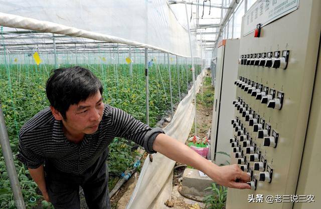 养100只兔子一年能赚多少钱（养猪，牛，鸡，兔赔钱的原因分析）