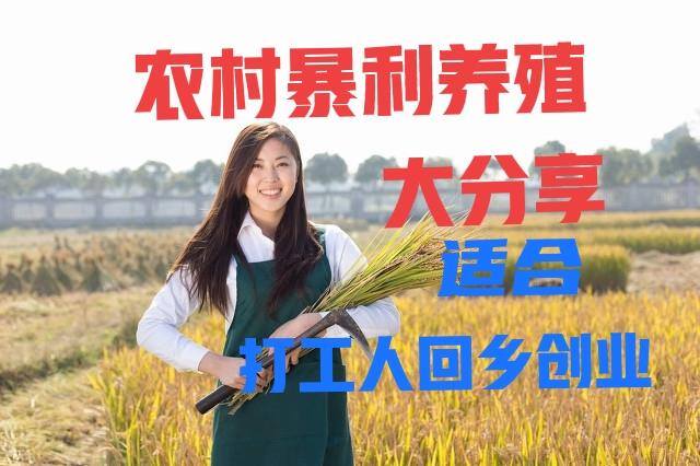 适合新手创业项目（农村养殖野鸡赚钱吗？）
