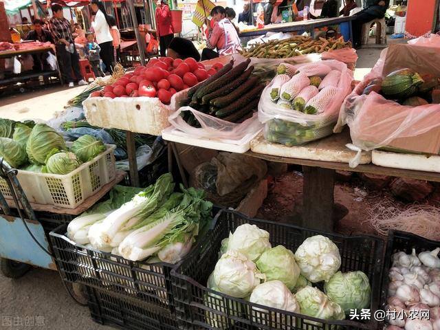 回农村发展什么项目好（如今返乡创业到底干啥赚钱？5个农村致富项目，赶紧看看哪个适合你）