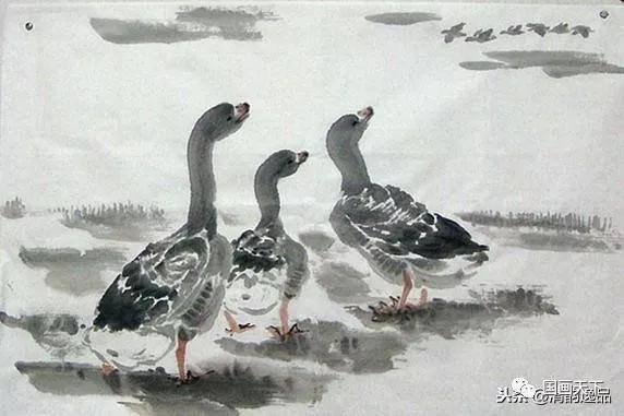 大雁怎么画简单又好看（飞鸿的各种姿态）