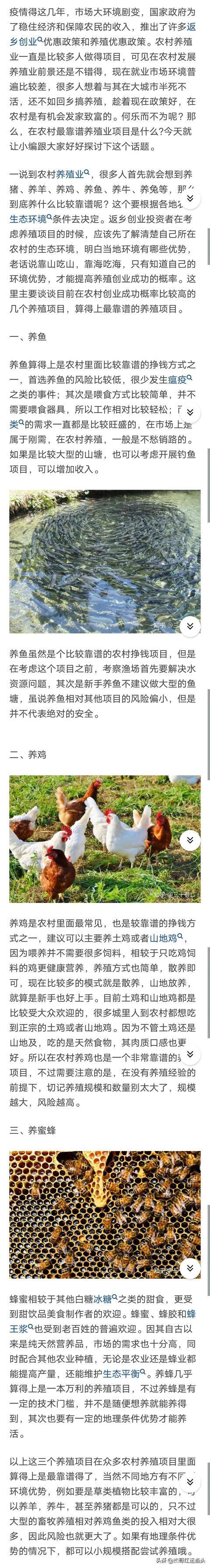 新手养什么比较挣钱（在农村养殖什么最靠谱）