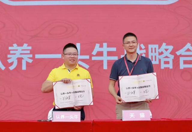 有老板投资养牛吗（东北最飒牧场主：举头天苍苍，低头撸小牛）