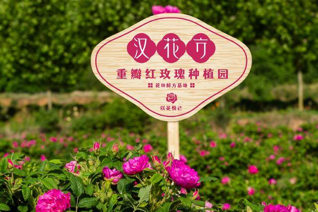 2022年想创业该做什么（10年河东，10年河西）