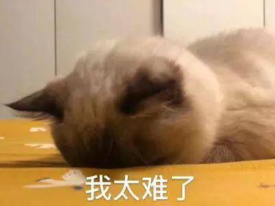 快手直播软件（b站直播平台聚合软件）
