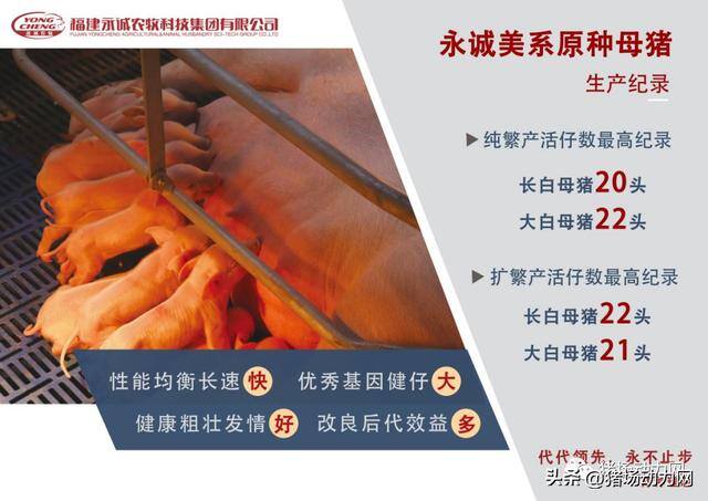 2022年到2023年养猪赚不赚钱（2023年猪价走势分析）