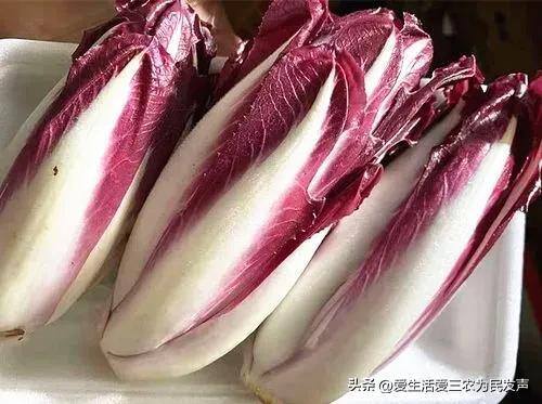 秋季种植什么经济农作物赚钱（秋冬季种植什么蔬菜比较好？）