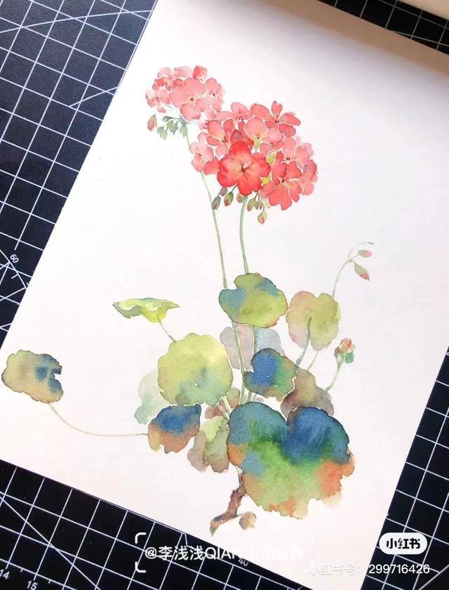 花朵怎么画最漂亮（中国风水彩花卉插画｜李浅浅qian）