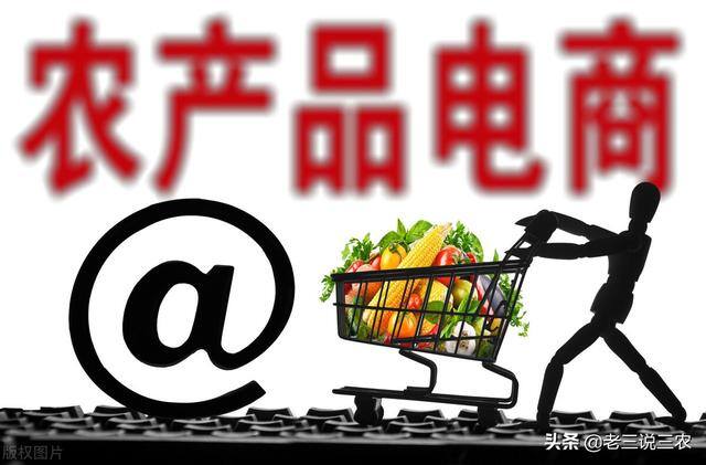 养100只兔子一年能赚多少钱（养猪，牛，鸡，兔赔钱的原因分析）