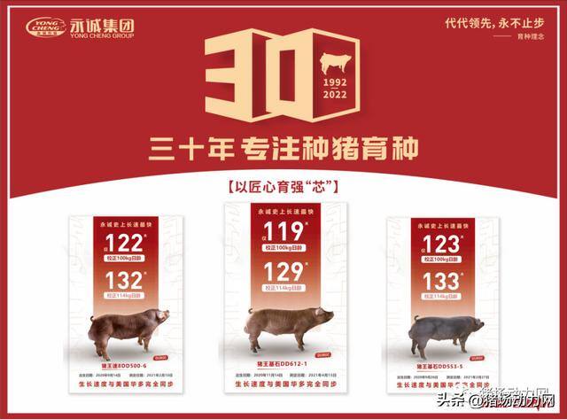 2022年到2023年养猪赚不赚钱（2023年猪价走势分析）