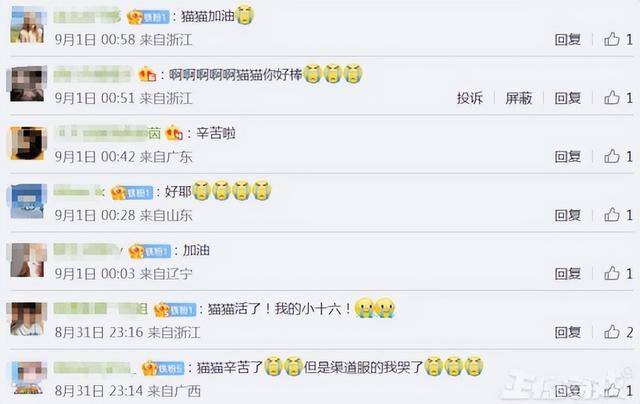 赚钱最快的游戏无广告无门槛（《灵猫传》宣布停运，原朝夕光年服将在2022年10月31日停运！）