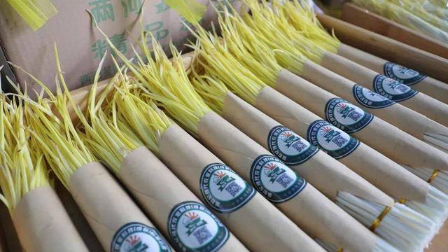 反季节蔬菜大棚种什么最挣钱（山东农民种蒜黄，一个大棚500多平方米，一斤5元你愿意干吗？）