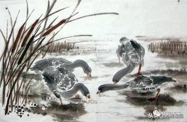 大雁怎么画简单又好看（飞鸿的各种姿态）