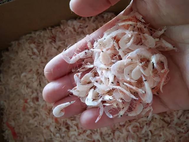 虾皮多少钱一斤（50多元的虾皮和10多元的虾皮有什么区别？）
