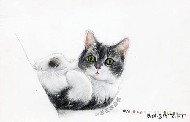 猫咪怎么画才好看又可爱（彩铅猫咪，看似不言不语，实则一直给你最长情的陪伴）