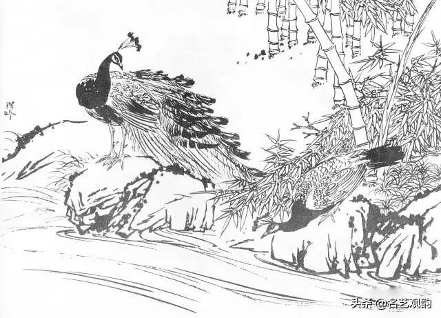 孔雀怎么画简单又漂亮（《花鸟画谱》之孔雀的画法）