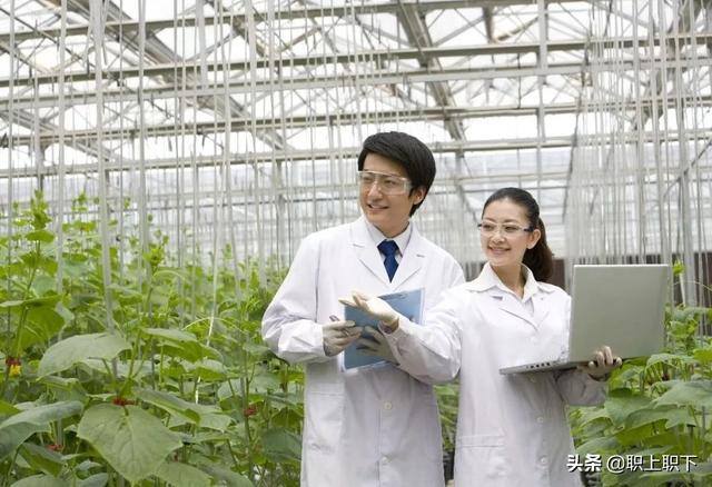 在农村做什么生意最赚钱最长远（工农业“剪刀差倒挂”是如何形成的？）