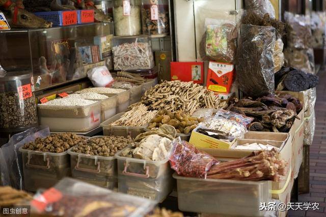 有什么药材可以种植（种植什么药材赚钱多）