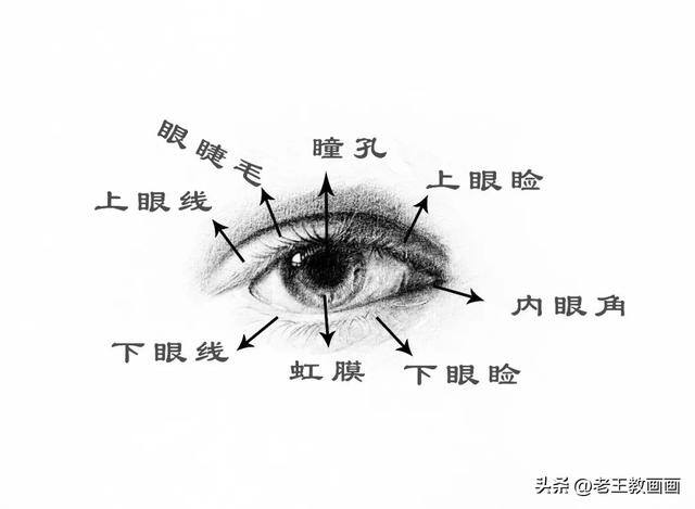 好看的眼睛怎么画（教你画一幅素描眼睛）