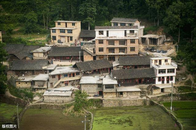 槐树在门口风水十大禁忌（农村俗语：“桑枣杜梨槐，不宜进阳宅”，种植什么树木，有讲究）
