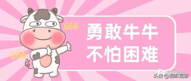 直播真的那么容易赚到钱吗（做直播，优质内容难）