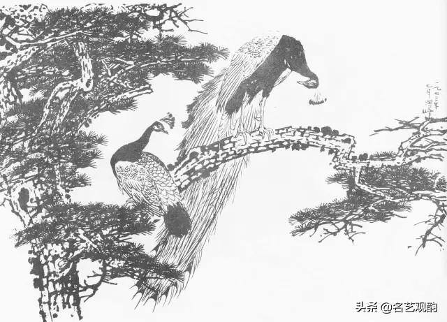 孔雀怎么画简单又漂亮（《花鸟画谱》之孔雀的画法）