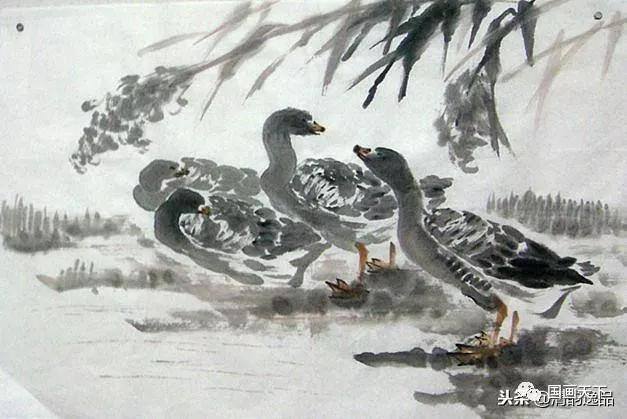 大雁怎么画简单又好看（飞鸿的各种姿态）